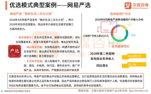 艾媒报告 2018中国b2c电商市场监测报告